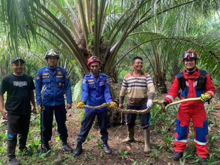Penemuan Ular Phyton di Dusun Krajan Desa Jajar Menyita Perhatian Warga